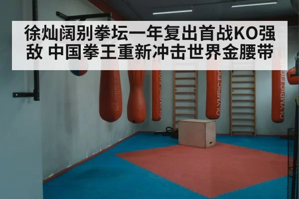 徐灿阔别拳坛一年复出首战KO强敌 中国拳王重新冲击世界金腰带